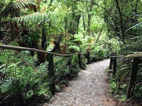 Unveiling the Elford Reef Periphery