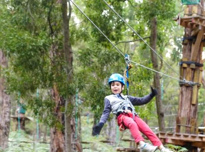 Glide Through the Trees: An Adventure-filled Zip-line Experience