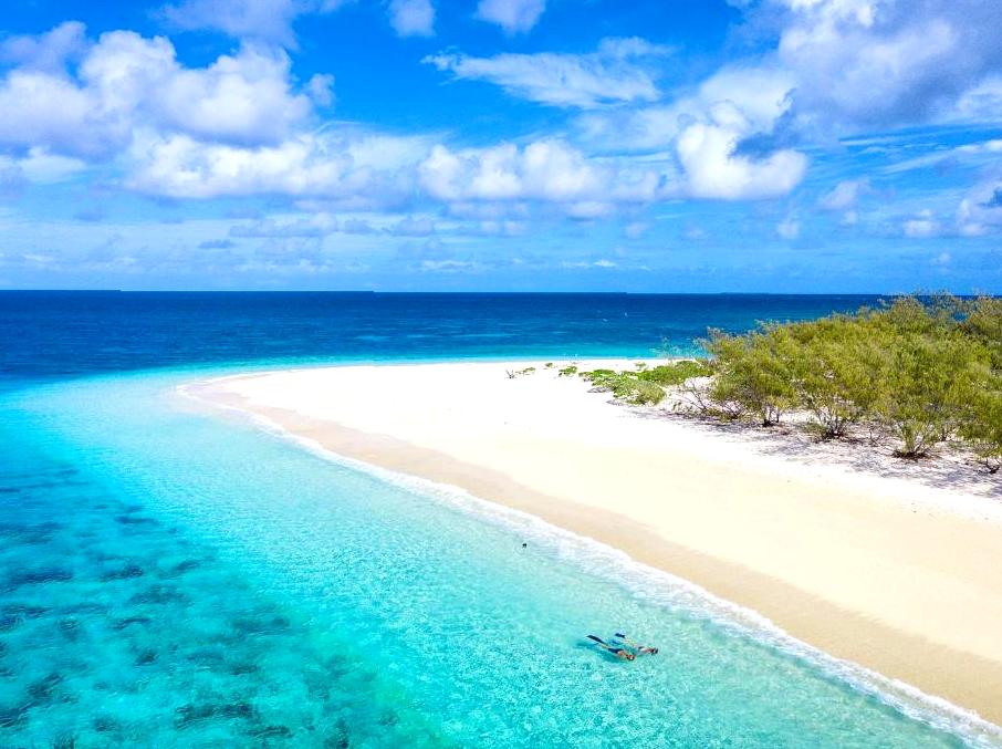 Discovering Wilson Island's Scenic Window