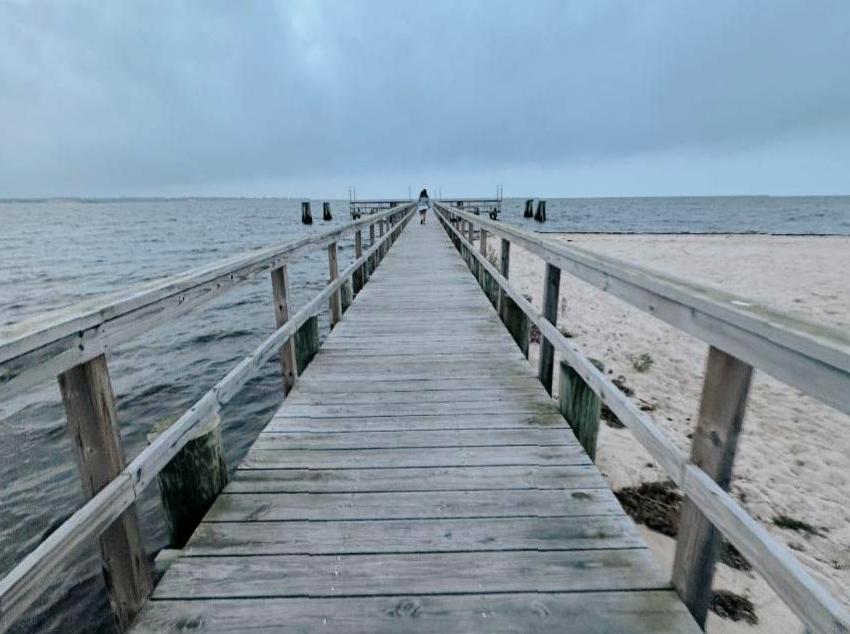 Participate in the Pier to Pub Swimming Competition
