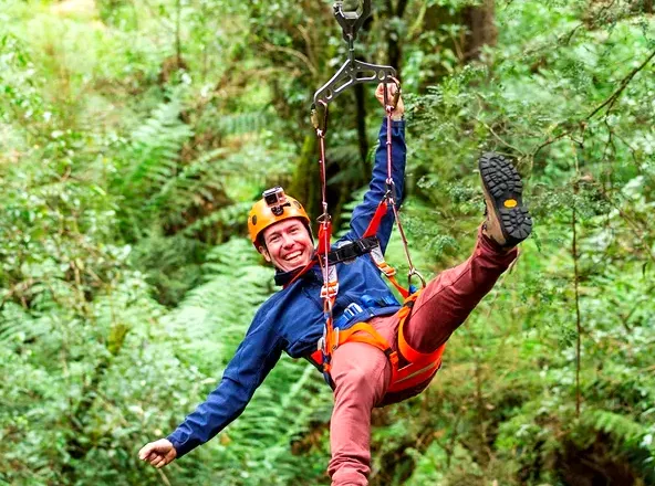 Embrace Nature with an Adventure in Treetop Zip-lining